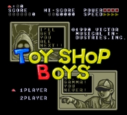 Toy Shop Boys